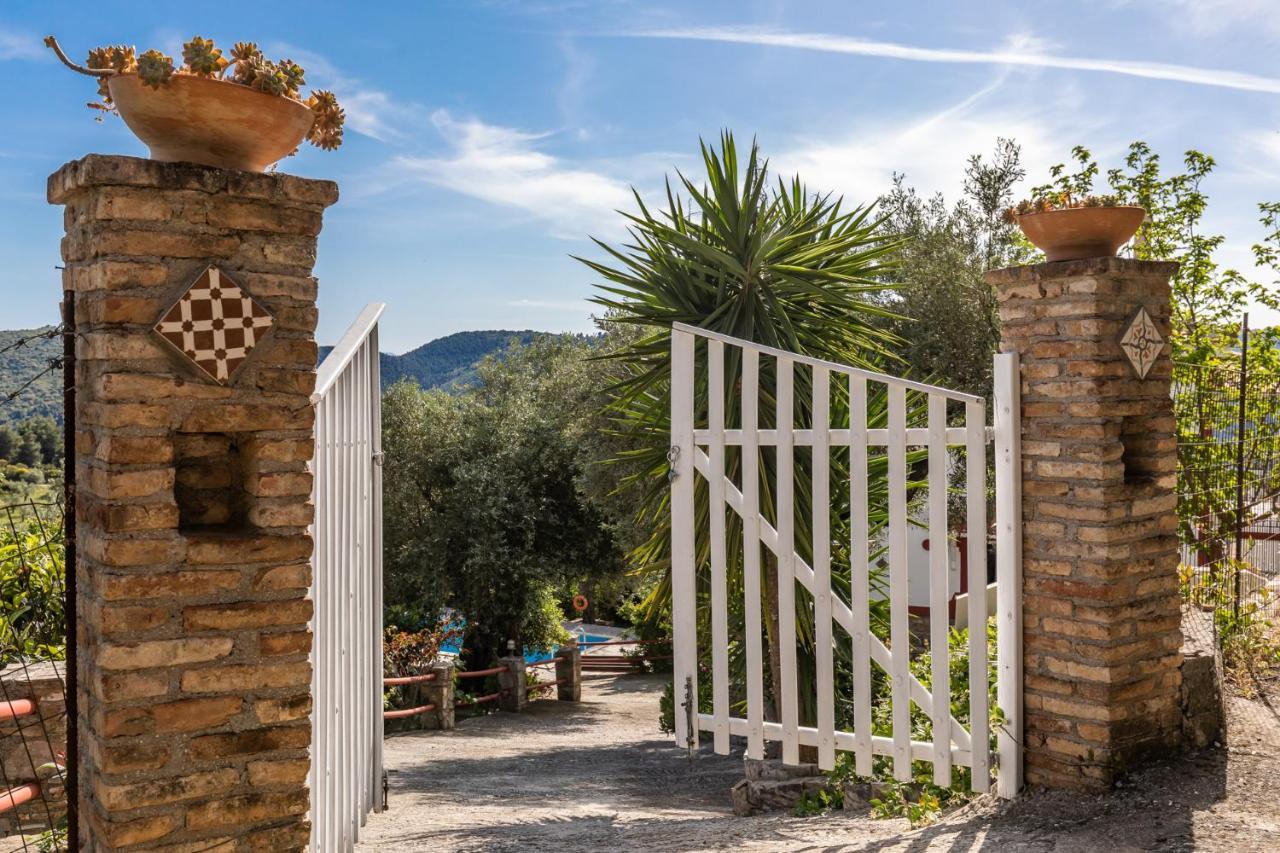 Villa Agia Marina Скопелос Екстериор снимка
